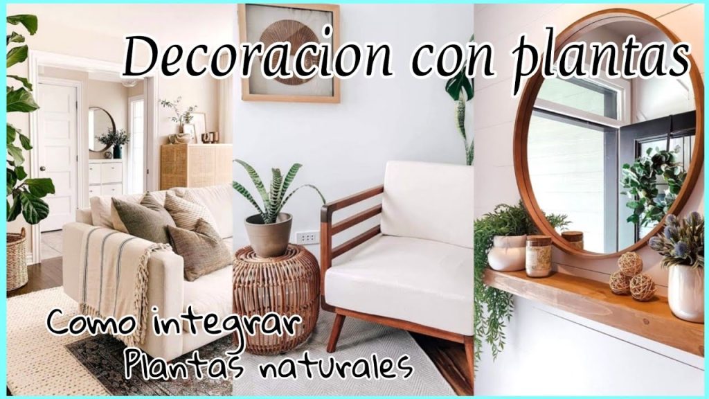 Cómo Integrar Plantas en la Decoración de tu Hogar