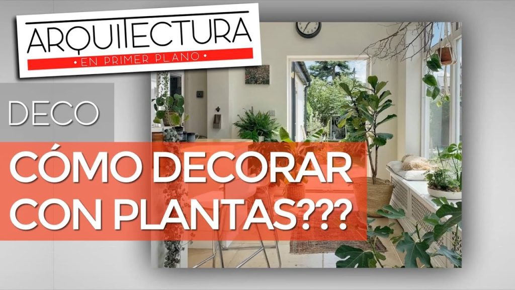 Cómo incorporar plantas en la decoración de interiores