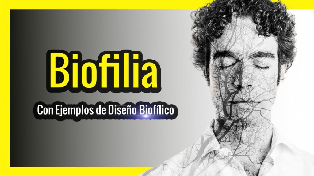 La influencia del diseño biofílico en el entorno laboral