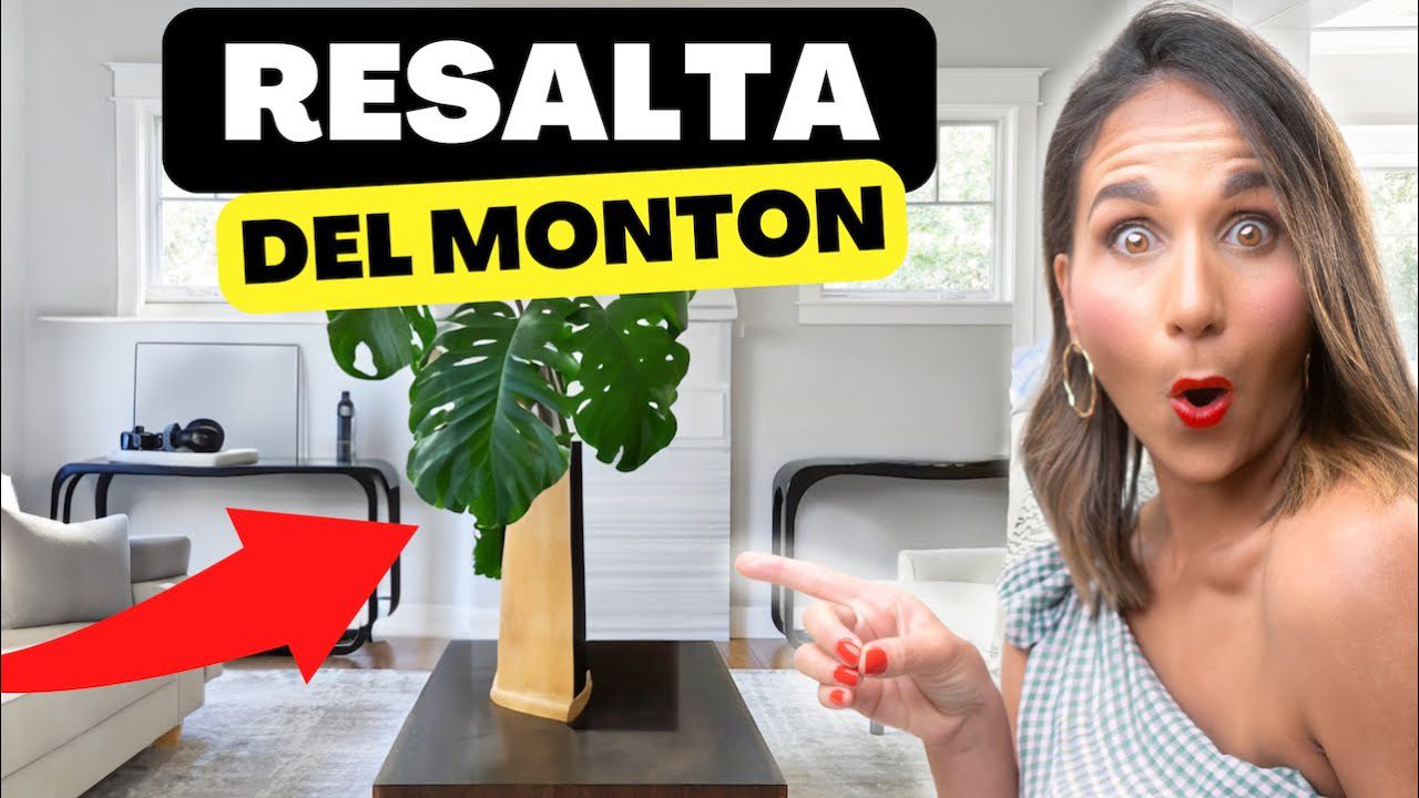 Decoracion-de-interiores-como-elegir-los-mejores-accesorios-decorativos - Decorar.org Decoración de interiores: cómo elegir los mejores accesorios decorativos