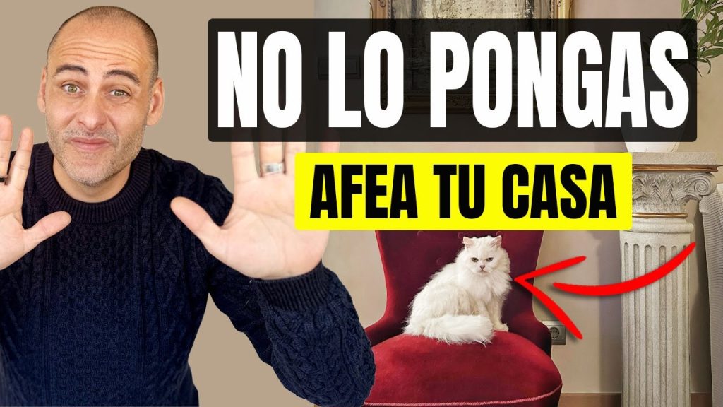 Ideas para una decoración de interiores que sea amigable con las mascotas