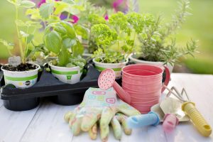 Guantes de Trabajo: Cual elegir para Jardinería, Carpintería y Construcción