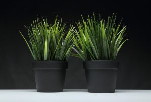 Plantas Artificiales en la Decoración Moderna: Tendencias y Estilos