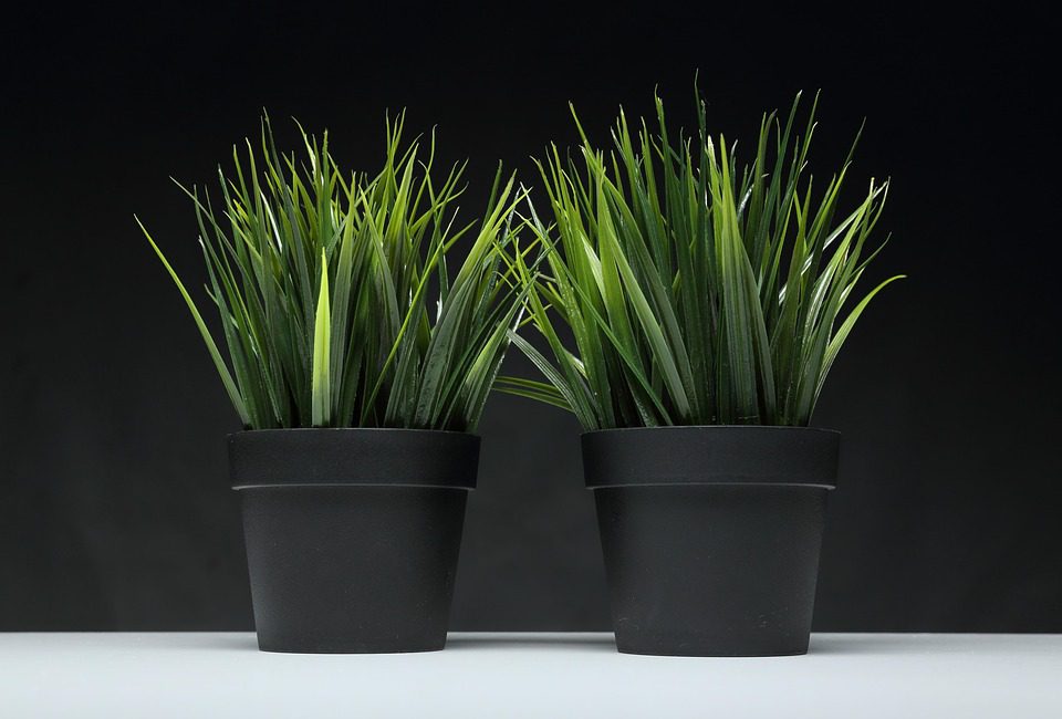 Plantas Artificiales en la Decoración Moderna Tendencias y Estilos - Decorar.org Plantas Artificiales en la Decoración Moderna: Tendencias y Estilos