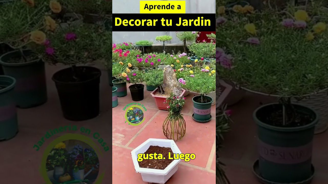 cómo encontrar inspiración para Cómo organizar espacios con decoración funcional en el jardín