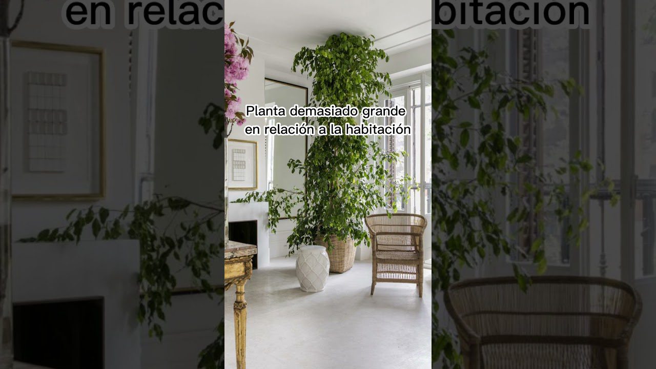 ventajas-y-desventajas-de-Ideas-de-decoracion-de-interiores-con-plantas - Decorar.org ventajas y desventajas de Ideas de decoración de interiores con plantas