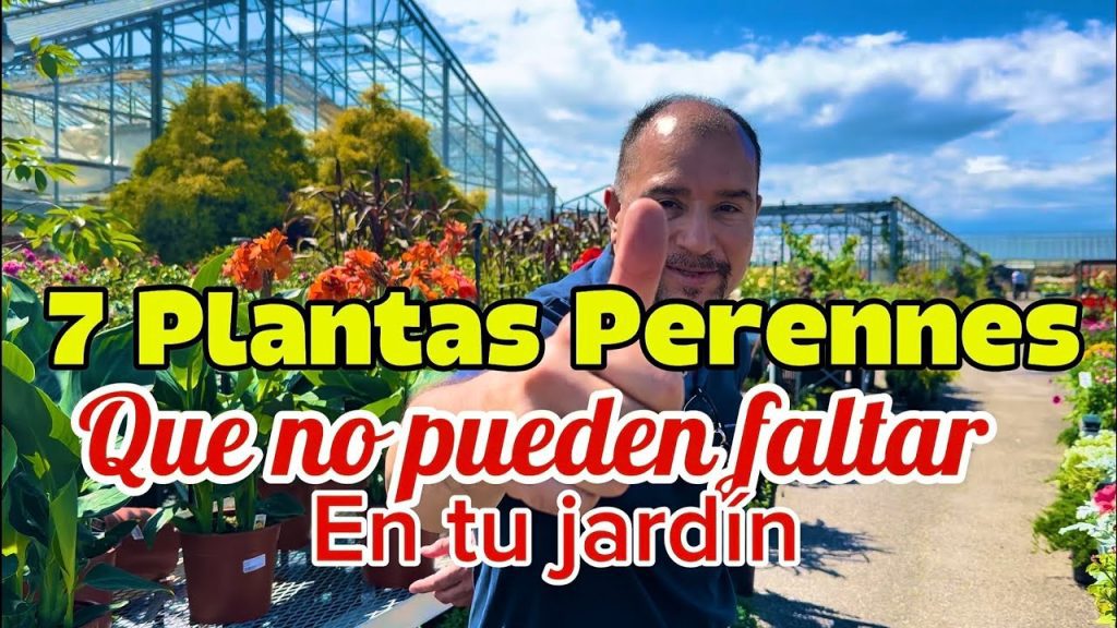 Man at a plant nursery with bold yellow and black text about 7 perennials for your garden; he points toward the camera under a sunny greenhouse backdrop.