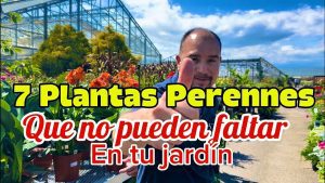 Man at a plant nursery with bold yellow and black text about 7 perennials for your garden; he points toward the camera under a sunny greenhouse backdrop.