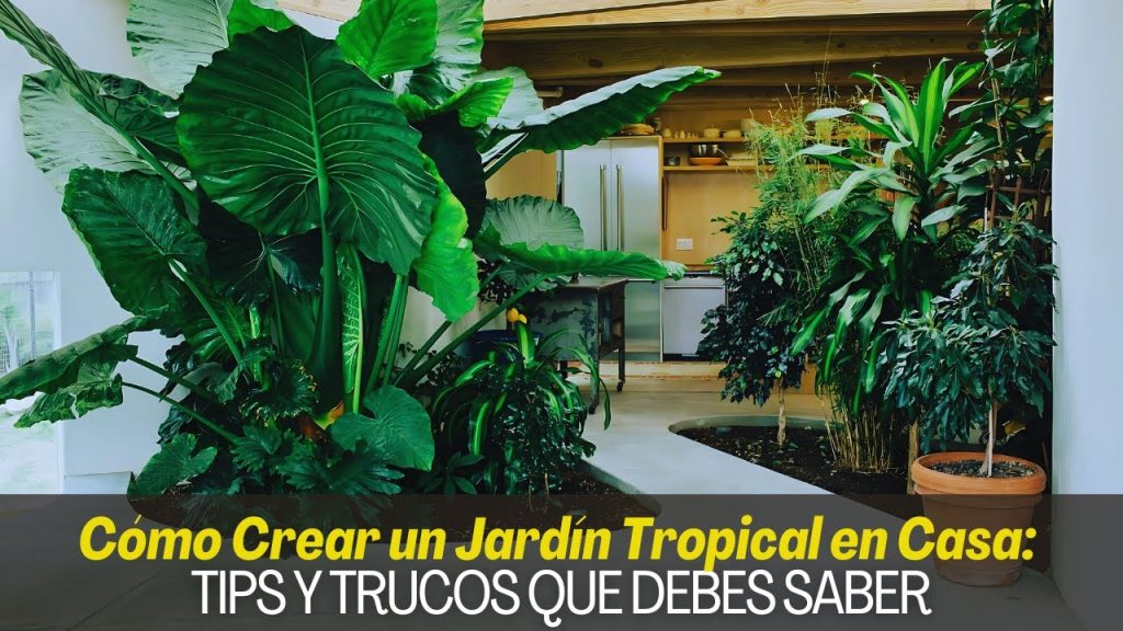 cómo ha cambiado la percepción del diseño exterior en Cómo hacer una decoración tropical en exteriores
